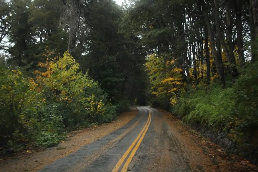 Ruta de montaña que dobla entre árboles de otoño