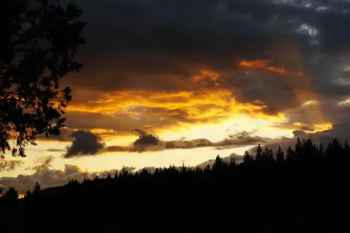 Atardecer naranja detrás de un bosque en silueta